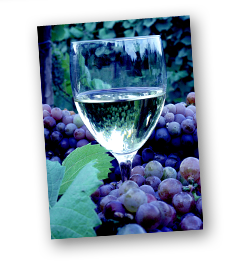 Wineries in Washington County